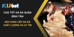 Chợ tốt gà đá quận Bình Tân: Nơi cung cấp gà đá chất lượng và uy tín