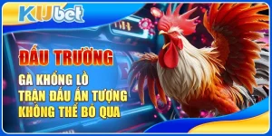 Đấu trường gà khổng lồ