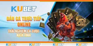 Đấu Gà Trực Tiếp Online