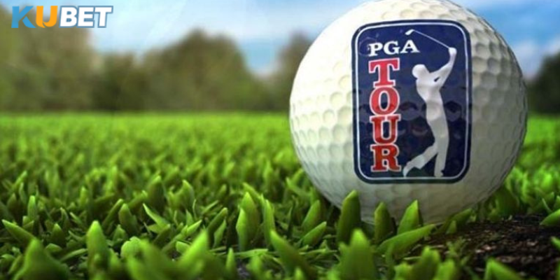 Tin tức golf PGA Tour cung cấp lịch thi đấu chi tiết