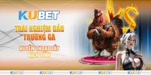 Đấu trường gà huyền thoại