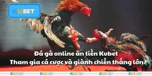 Đá gà online ăn tiền Kubet - Tham gia cá cược và giành chiến thắng lớn
