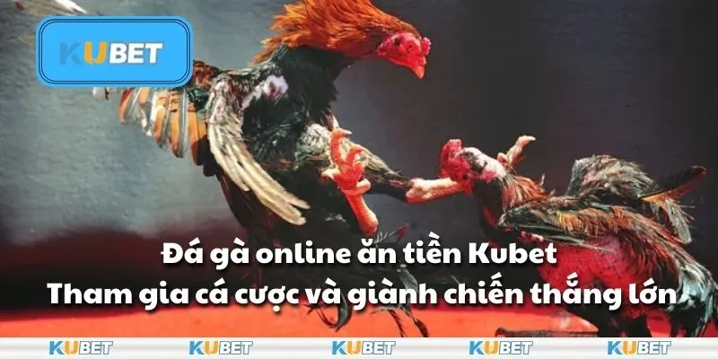 Đá gà online ăn tiền Kubet - Tham gia cá cược và giành chiến thắng lớn